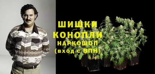 дмт Бронницы