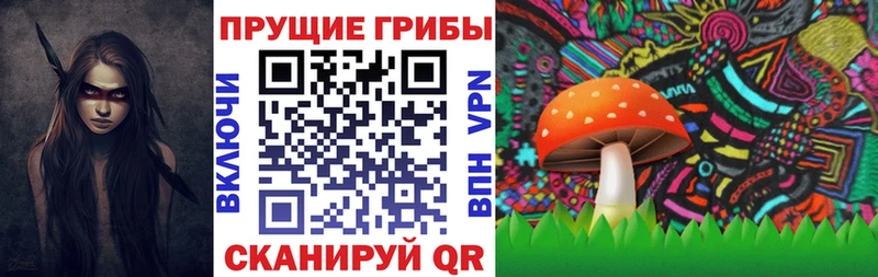 как найти   Разумное  Псилоцибиновые грибы ЛСД 